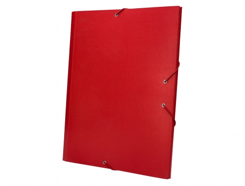 Carpeta clasificadora Liderpapel 12 departamentos folio prolongado carton forrado roja 24084 , rojo, imagen 5 mini