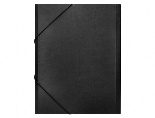 Carpeta clasificadora Liderpapel 12 departamentos folio prolongado carton forrado negra 24085 , negro, imagen 4 mini