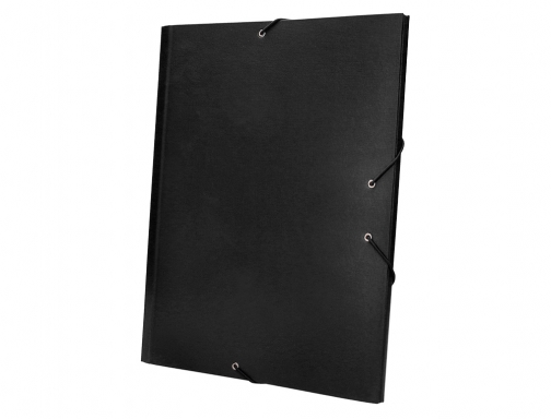 Carpeta clasificadora Liderpapel 12 departamentos folio prolongado carton forrado negra 24085 , negro, imagen 5 mini