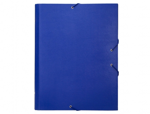 Carpeta clasificadora Liderpapel 12 departamentos folio prolongado carton forrado azul 25265, imagen 3 mini