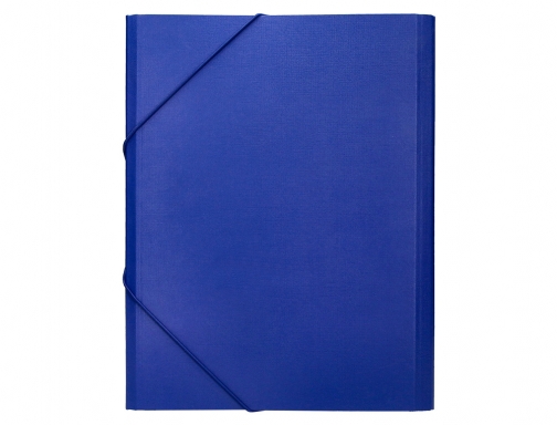 Carpeta clasificadora Liderpapel 12 departamentos folio prolongado carton forrado azul 25265, imagen 4 mini