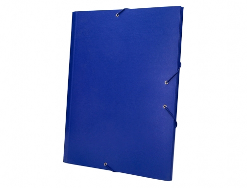 Carpeta clasificadora Liderpapel 12 departamentos folio prolongado carton forrado azul 25265, imagen 5 mini