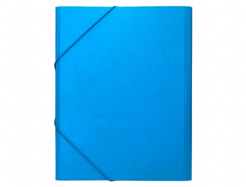 Carpeta clasificadora Liderpapel 12 departamentos folio prolongado carton forrado celeste 26421 , azul, imagen 4 mini
