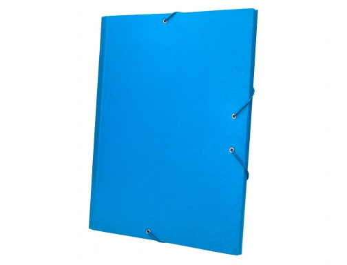 Carpeta clasificadora Liderpapel 12 departamentos folio prolongado carton forrado celeste 26421 , azul, imagen 5 mini