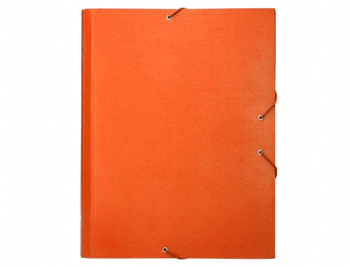 Carpeta clasificadora Liderpapel 12 departamentos folio prolongado carton forrado naranja 26422, imagen 3 mini