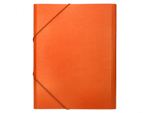 Carpeta clasificadora Liderpapel 12 departamentos folio prolongado carton forrado naranja 26422, imagen 4 mini