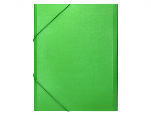 Carpeta clasificadora Liderpapel 12 departamentos folio prolongado carton forrado verde claro 26423, imagen 4 mini