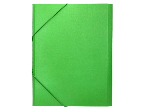 Carpeta clasificadora Liderpapel 12 departamentos folio prolongado carton forrado verde claro 26423, imagen 4 mini