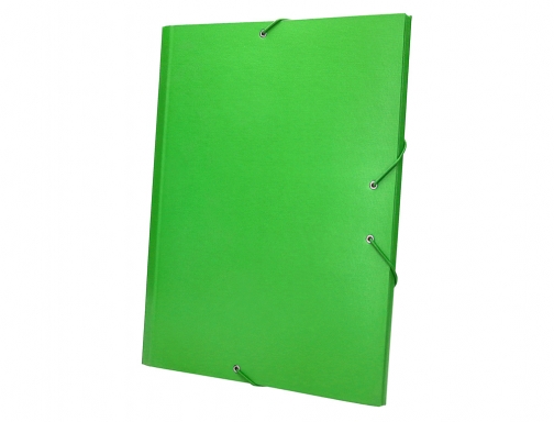 Carpeta clasificadora Liderpapel 12 departamentos folio prolongado carton forrado verde claro 26423, imagen 5 mini