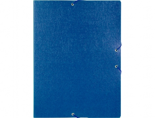 Carpeta proyectos Liderpapel folio lomo 50mm carton gofrado azul 37342, imagen 2 mini