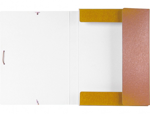 Carpeta proyectos Liderpapel folio lomo 30mm carton gofrado amarilla 37346 , amarillo, imagen 5 mini