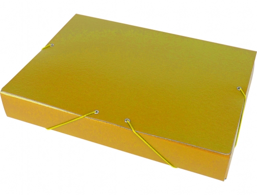 Carpeta proyectos Liderpapel folio lomo 50mm carton gofrado amarilla 37347 , amarillo, imagen 3 mini