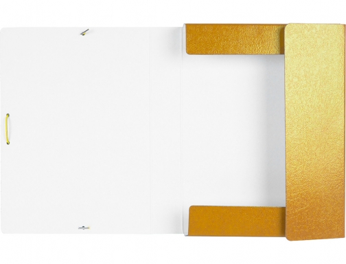 Carpeta proyectos Liderpapel folio lomo 50mm carton gofrado amarilla 37347 , amarillo, imagen 5 mini