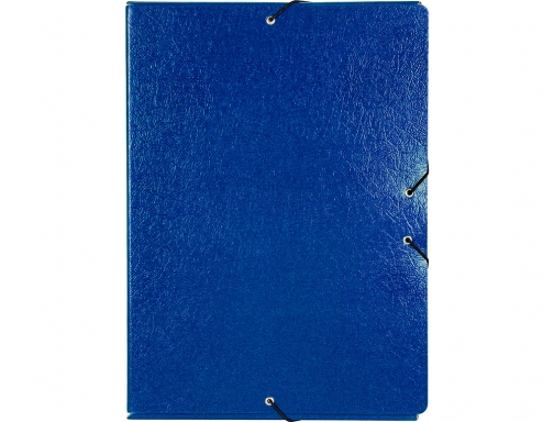 Carpeta proyectos Liderpapel folio lomo 70mm carton gofrado azul 37349, imagen 2 mini