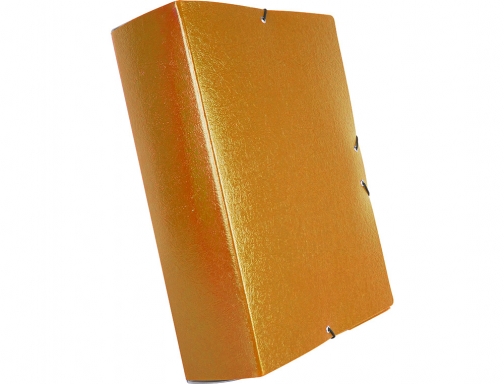 Carpeta proyectos Liderpapel folio lomo 70mm carton gofrado verde 37350, imagen 4 mini