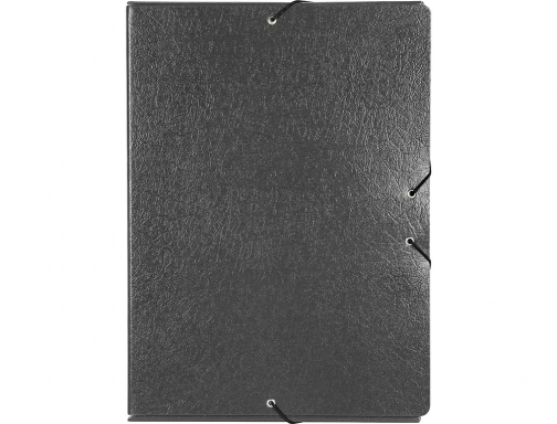 Carpeta proyectos Liderpapel folio lomo 70mm carton gofrado gris 37352, imagen 2 mini