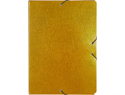 Carpeta proyectos Liderpapel folio lomo 70mm carton gofrado amarilla 37353 , amarillo, imagen 2 mini