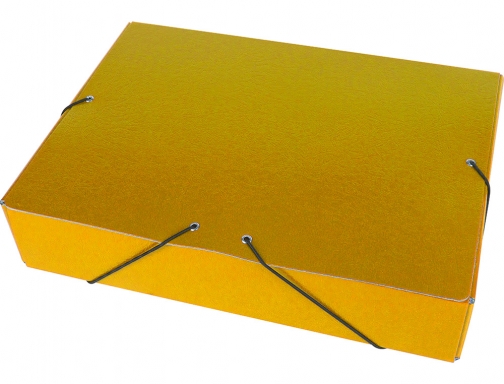 Carpeta proyectos Liderpapel folio lomo 70mm carton gofrado amarilla 37353 , amarillo, imagen 3 mini