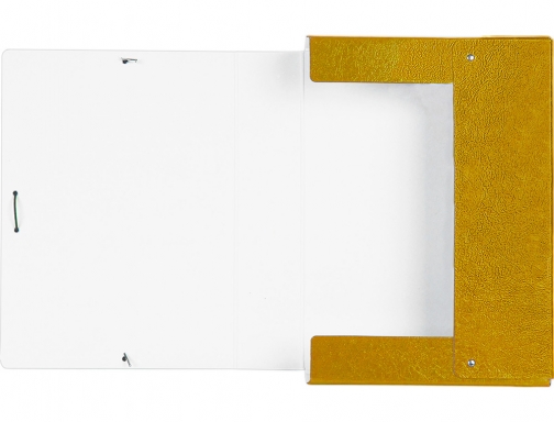 Carpeta proyectos Liderpapel folio lomo 70mm carton gofrado amarilla 37353 , amarillo, imagen 5 mini