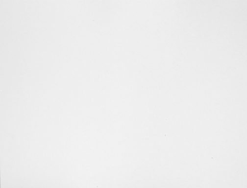 Carton gris n 14 76x106 cm hoja Blanca, imagen 2 mini