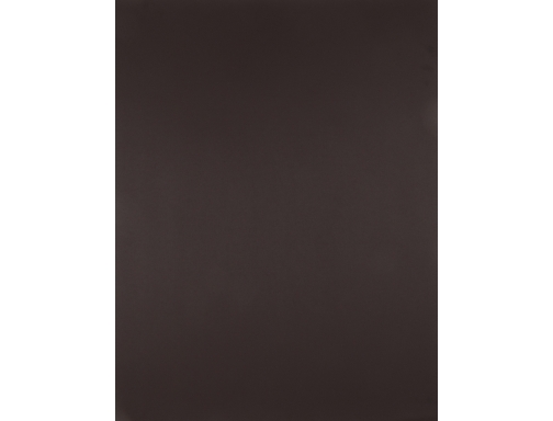 Cartulina Liderpapel 50x65 cm 180 gr marron unidad 67843, imagen 2 mini