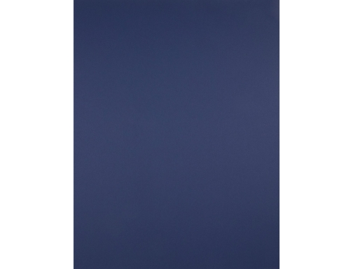 Cartulina Liderpapel 50x65 cm 180 gr zafiro unidad 67844 , azul zafiro, imagen 2 mini