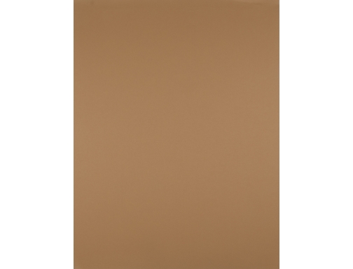 Cartulina Liderpapel 50x65 cm 180 gr marron escolar unidad 67848, imagen 2 mini