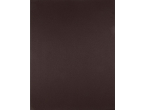 Cartulina Liderpapel 50x65 cm 180 gr marron paquete de 25 hojas 67851, imagen 3 mini