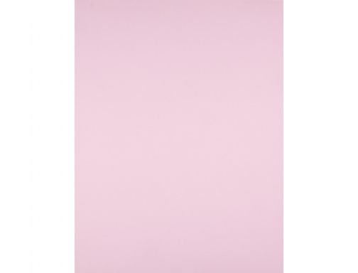 Cartulina Liderpapel 50x65 cm 180g m2 rosa 28304, imagen 2 mini
