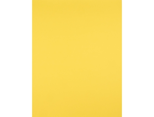 Cartulina Liderpapel 50x65 cm 180g m2 amarillo limon 31047, imagen 2 mini