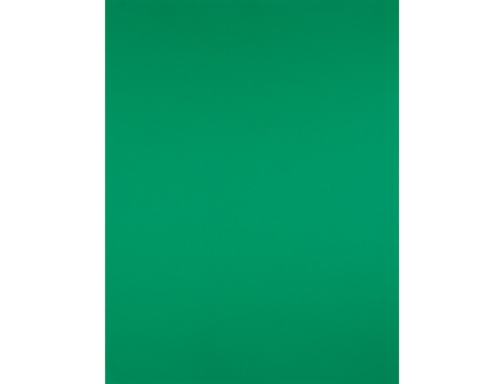 Cartulina Liderpapel 50x65 cm 180g m2 verde navidad paquete de 25 hojas 79461, imagen 3 mini