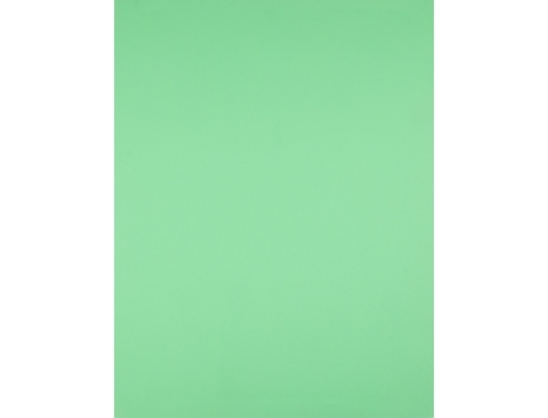 Cartulina Liderpapel 50x65 cm 180g m2 verde hierba paquete de 25 hojas 79462, imagen 3 mini