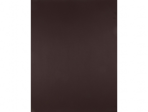 Cartulina Liderpapel 50x65 cm marron oscuro 240 gr unidad 54463, imagen 2 mini