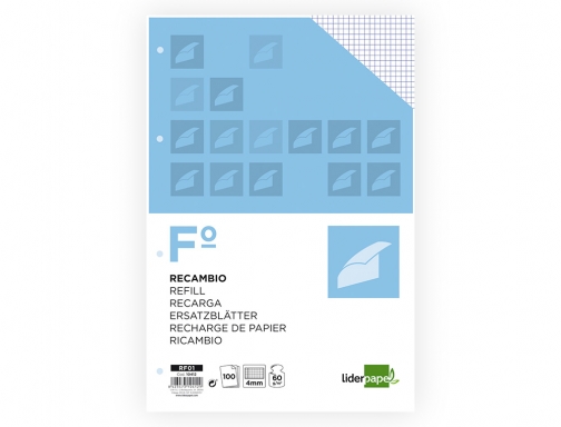 Recambio Liderpapel A4 100 hojas 60g m2 cuadro 4 mm con margen 10412, imagen 4 mini