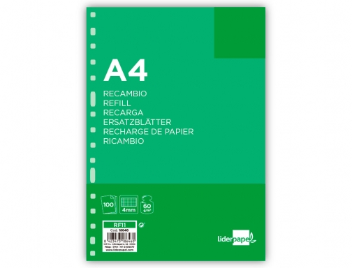 Recambio Liderpapel A4 100 hojas 60g m2 cuadro 4 mm con margen 18646, imagen 2 mini