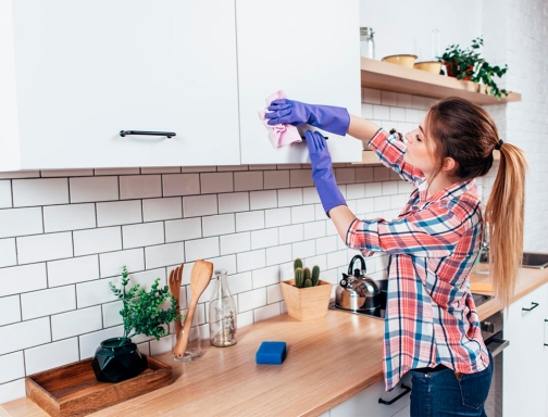 Limpiador desinfectante Sanytol para cocinas con pistola pulverizadora bote de 750 ml 71961, imagen 4 mini