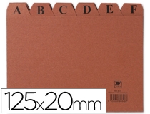 Indice fichero Liderpapel carton n4 125x200  IC04