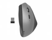 Raton Ngs evo zen optico