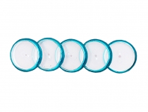 Discos y elastico Cuaderno inteli