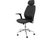 Silla direccion pyc brazos