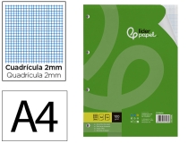 Recambio Liderpapel A4 100 hojas 100g  RA04