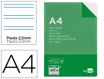 Recambio Liderpapel A4 100 hojas