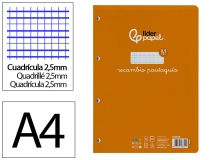 Recambio Liderpapel A4 pautaguia